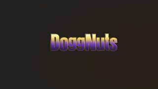 DOGGNUTS