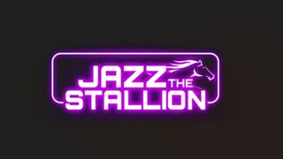 JAZZ THE STALLION