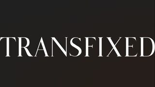 Trans fixed