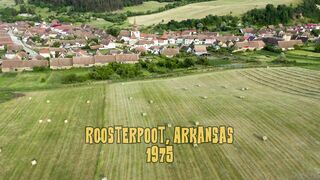 Wicked Sunny Goldmelons Tommy Pistol Melody Marks