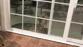 Burning Angel Btsepisode75 Joanna Angel Jessica Creepshow