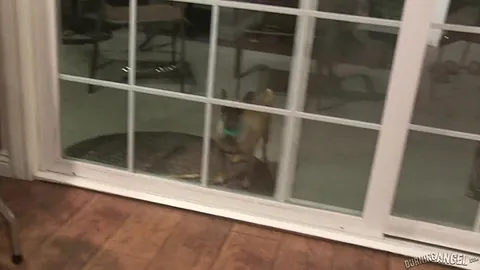 Burning Angel Btsepisode75 Joanna Angel Jessica Creepshow