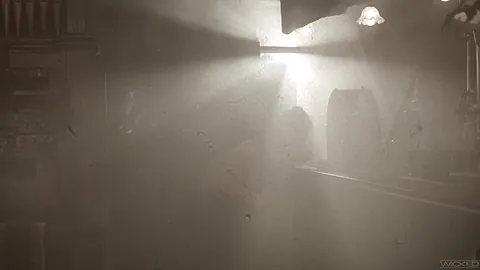 Timeless1920s Seth Gamble Violet Starr