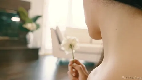 Dont Do It Seth Gamble Jane Wilde