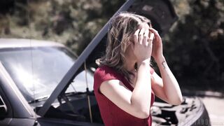 Fight Or Flight Kristen Scott Mike Mancini