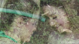 Amalia Davis & Nicole lesbian sex – Love Sprinkled (VivThomas)